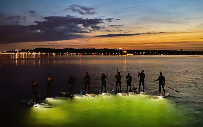 Kiel/Plön: glassSUP - guided night tour. Dive in without getting wet. - Who Will Enjoy This Tour?