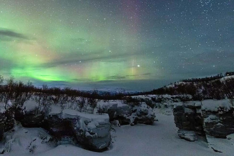 Kiruna: Abisko Northern Lights Tour with Dinner - Exploring the Abisko Northern Lights Tour: A Deep Dive