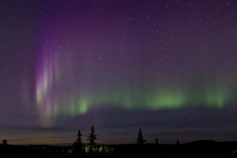 Kiruna: Northern Lights Dog Sled Tour with Swedish Fika - The Value of This Tour
