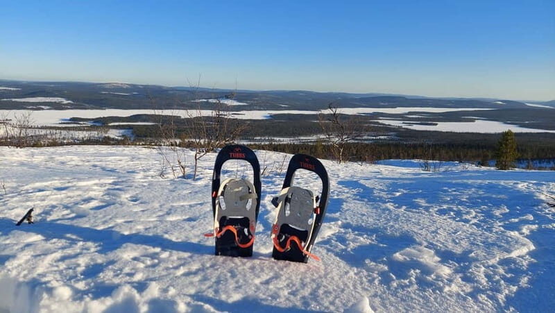 Kiruna: Snowshoe Trek with Warm Beverage and Sandwich - The Itinerary: What You Can Expect