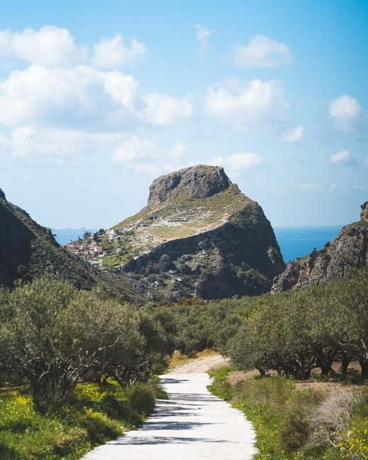 Kolymvari: Biolea Olive Oil Enthusiast Tour - FAQ
