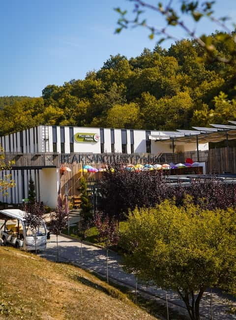 Kosovo: Bear Sanctuary Prishtina, (guided tour & shuttle) - An in-depth look at the tour 