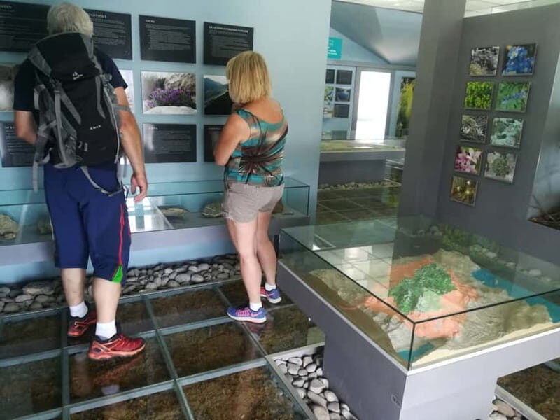 Kotor: Skadar Lake National Park with Wine Tasting - The Wine Tasting Experience