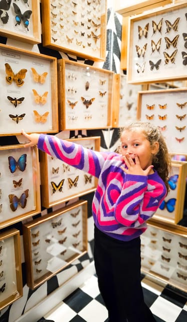 Krakow: Museum of Living Butterflies 2+1 - The Experience of Visiting