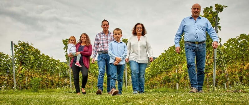 Kröv/Gut Hermes: Wine tour & tasting through the vineyard, winery, and sparkling wine production facility - The Value of This Tour