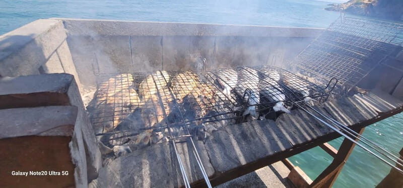 Ksamil: Tongo Island Boat Tour with Lunch - Final Thoughts: The Value and Who Will Love It