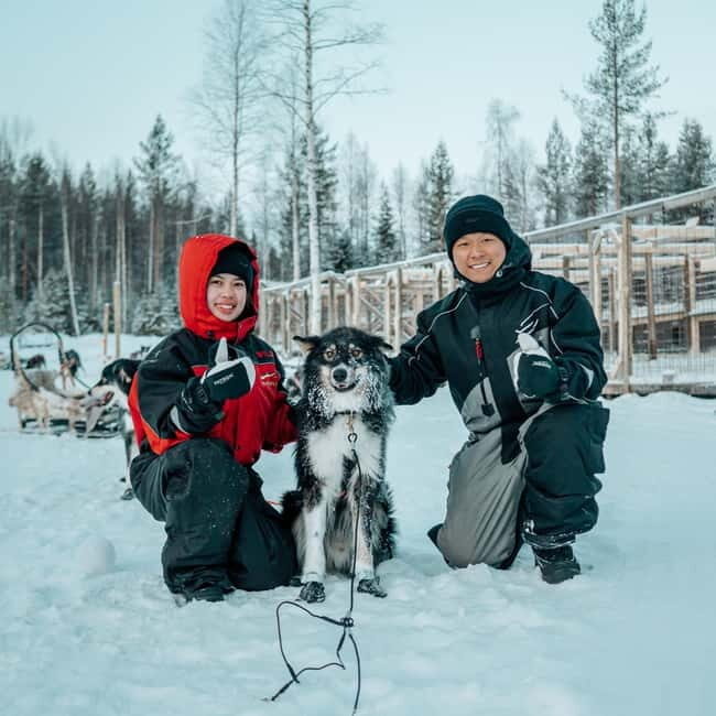 Kuoksa Husky & Reindeer Adventure - The Sum Up: Who Will Love This Tour?