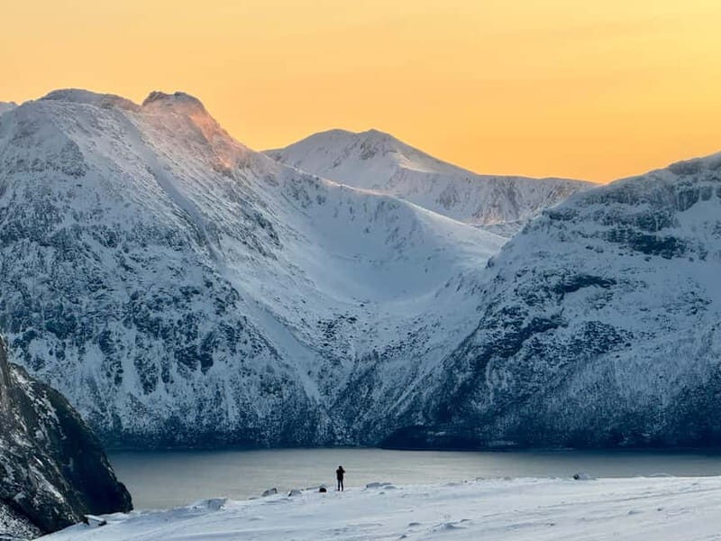 Kvaløya Island: Photography Tour with Snacks - Who Would Love This Tour?
