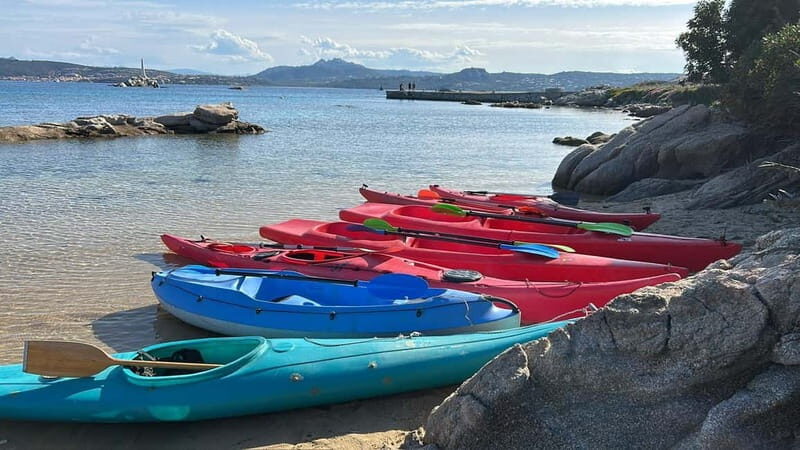 La Maddalena: Kayak Tour with Guide - Who Will Love This Tour?