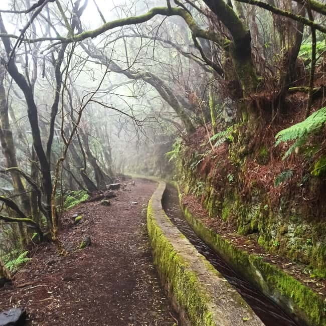 La Palma: Springs Marcos y Cordero Guided Trekking Tour - The Physical Challenge: Who Should Be Prepared?