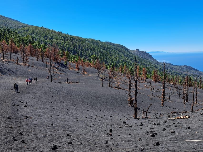 La Palma: Tajogaite Volcano Guided Trek - What to Expect and Practical Tips