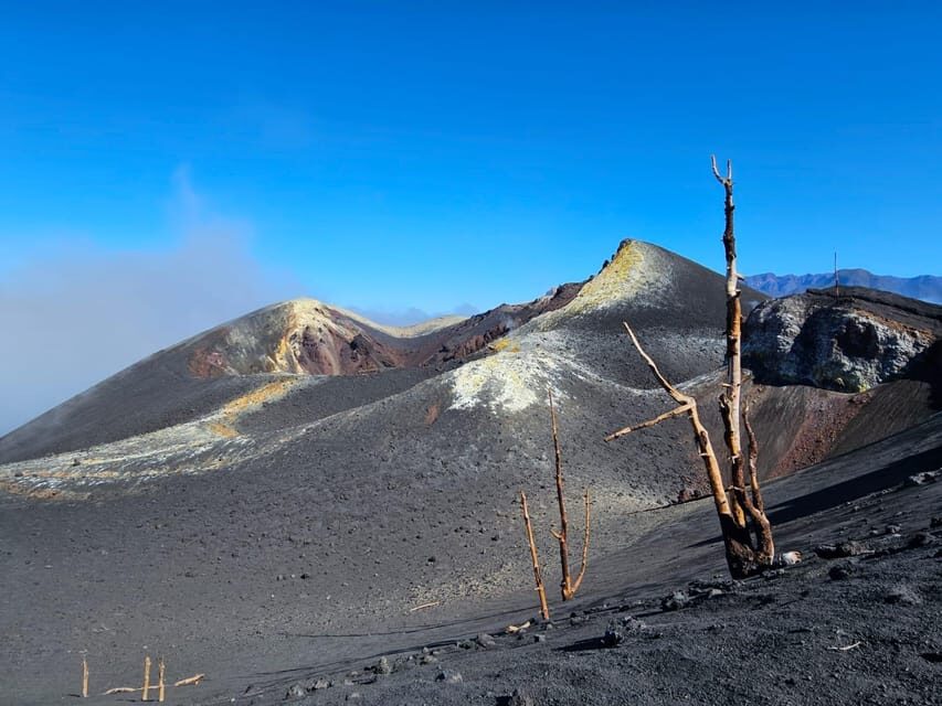 La Palma: Tour to the new Tajogaite volcano 360º. - Who Will Love This Tour?