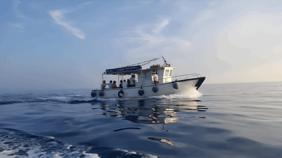 La Spezia, boat tour Portovenere, snorkeling and aperitivo - Who Should Consider This Tour?