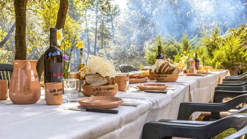 Laconi: truffle hunting excursion with lunch - Practical Details and Value