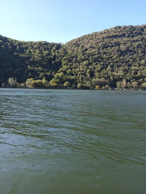 Lago del Segrino: Kayak Tour with Guide (vicino a Como) - An In-Depth Look at the Kayak Tour on Lago del Segrino
