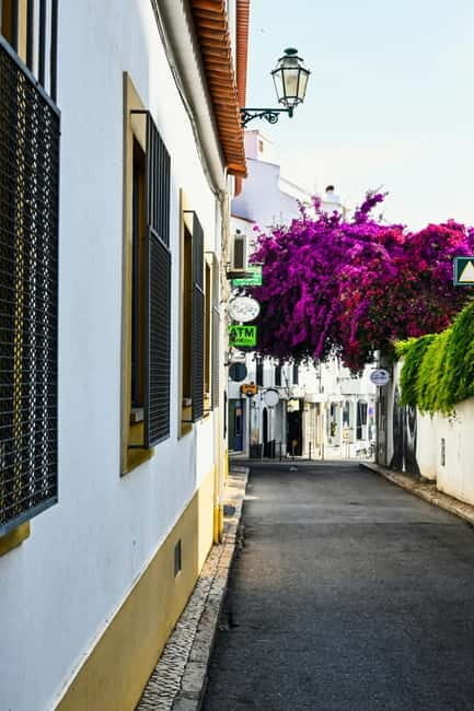 Lagos to Sagres Coastline & City Private Guided Tour - A Detailed Look at the Itinerary