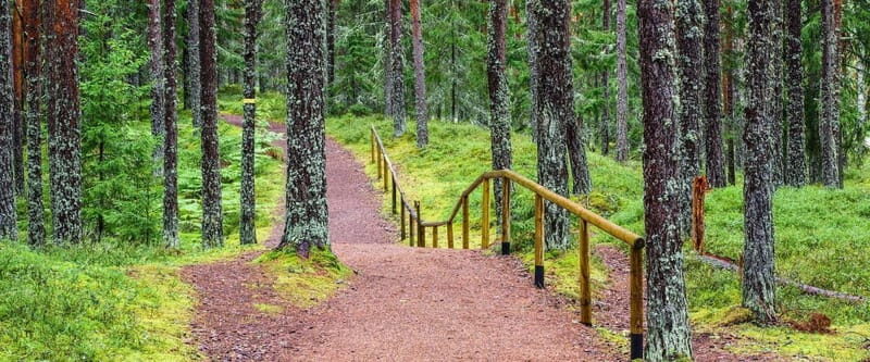 Lahemaa: Tour to Estonias Oldest National Park - Why This Tour Offers Real Value