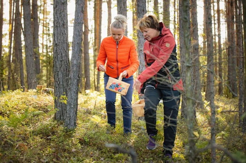 Lahti: Wild Food Foraging Tour with Tastings - Practical Details and Considerations