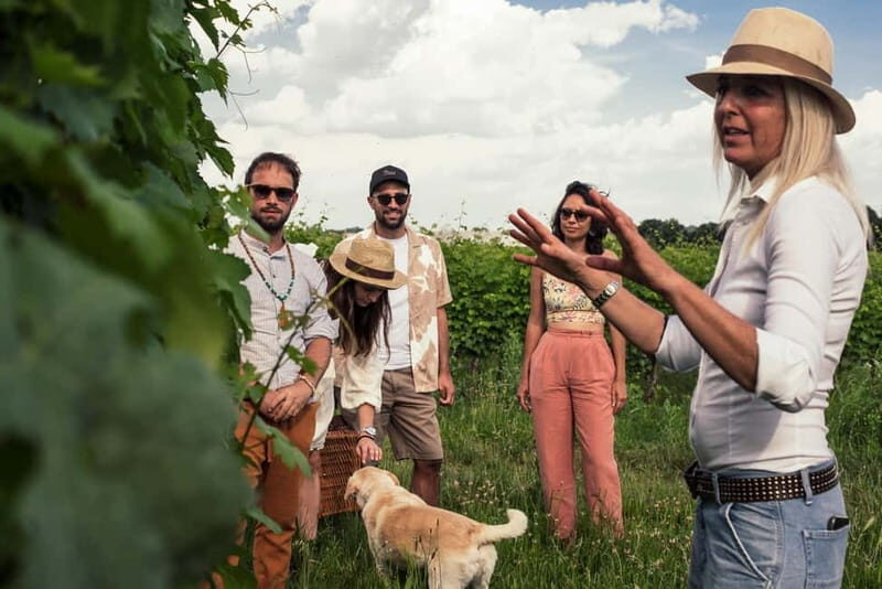 Lake Garda: Pic Nic in the vineyard with wine tasting - A Close Look at the Experience