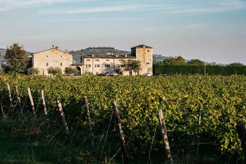 LAKE GARDA: VINEYARD AND WINERY TOURS - A Closer Look at the Tour