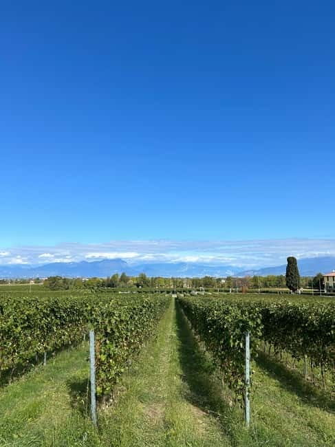 Lake Garda: Wine Tasting and Myths Tour with Local Snacks - A Closer Look at the Experience