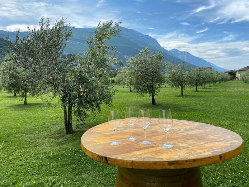 Lake Garda: Winery Visit with Wine and Olive Oil Tasting - Practical Details