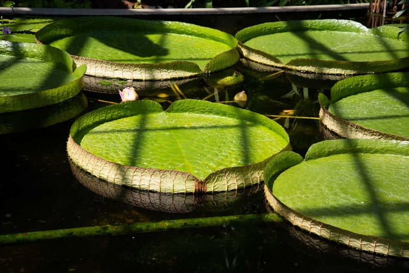 Lake Maggiore Gardens: Botanical Gardens Gourmet Food Cruise - The Itinerary Breakdown