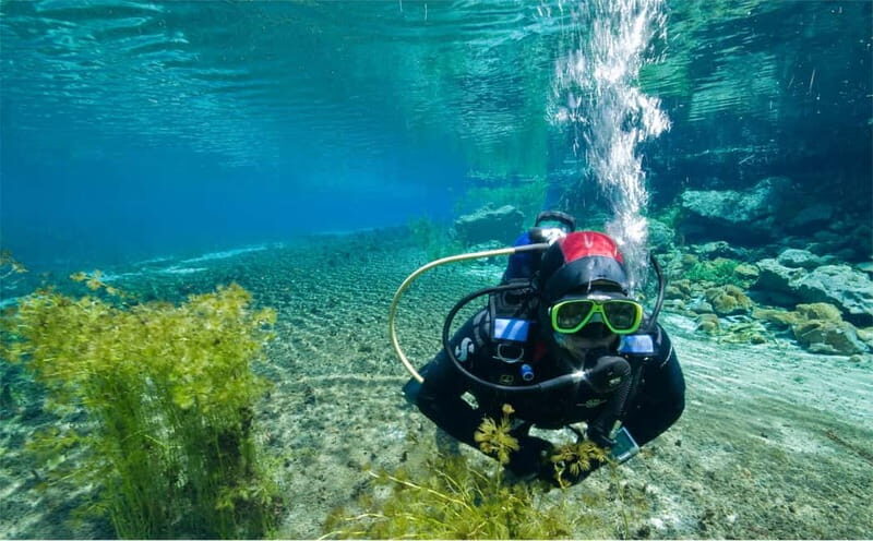 Lake Ohrid: Try Diving at the Bay of the Bones - Who Is This Tour Best For?