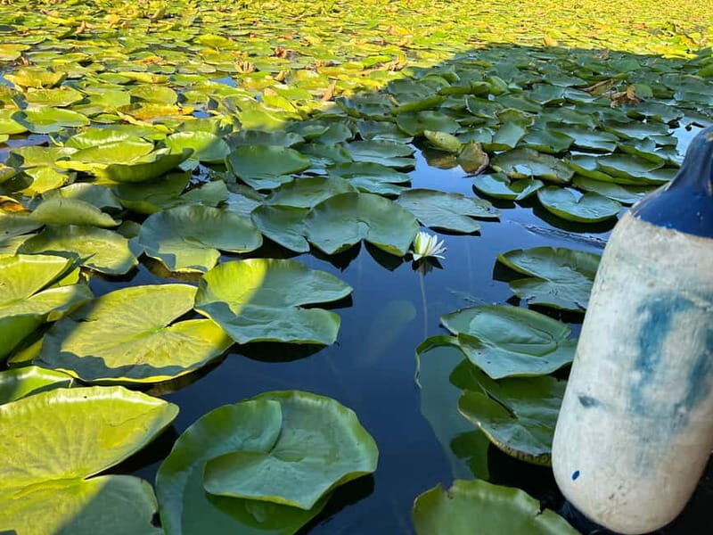 Lake Skadar: Boat Cruise - The Itinerary in Detail