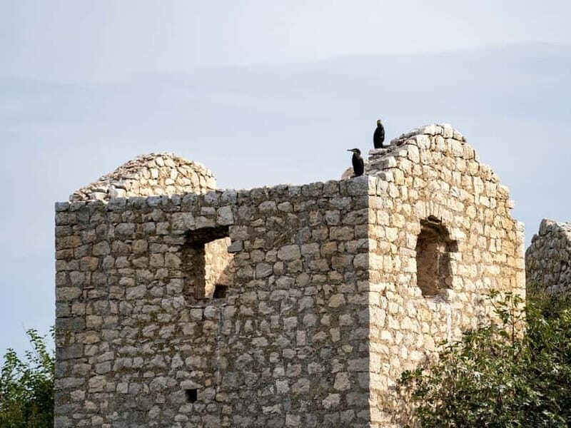 Lake Skadar: Short Boat Tour to Grmour Fortress with Drinks - An In-Depth Look at the Lake Skadar Boat Tour