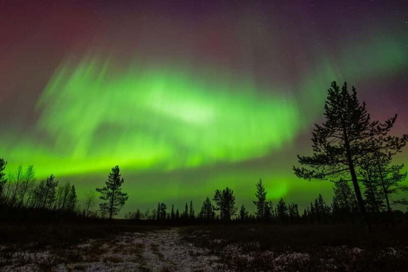 Lapland: Aurora Hunting by Minivan with Guide and Transport - Who Should Consider This Tour?