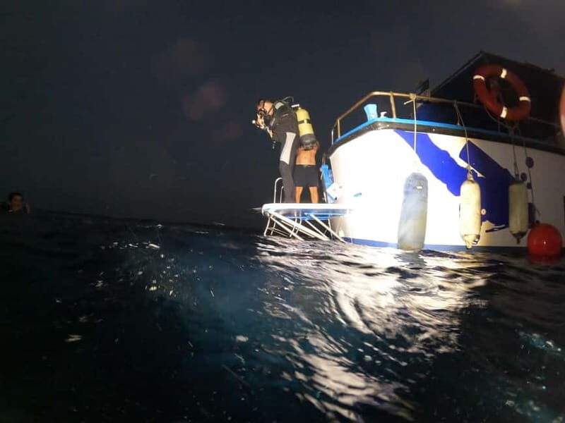 Larnaca: Zenobia Wreck Night Dive Certification With SSI - Why Night Diving with Zenobia Divers Is a Good Deal