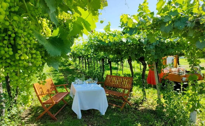 Lazise: Horseback Riding and Farm Picnic local food - An Overview of the Experience