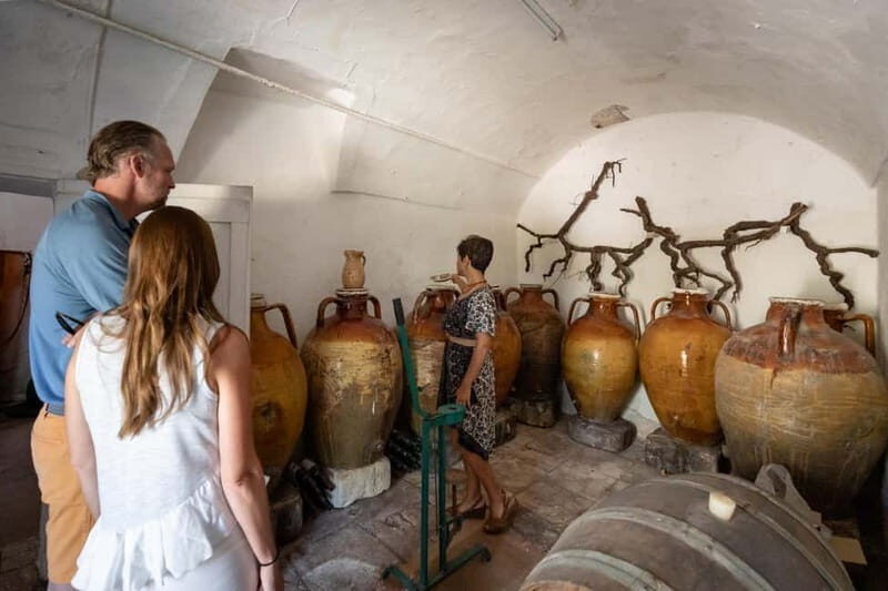 Lecce: Rural Cooking Class with Wine Tasting - Practical Details & Value
