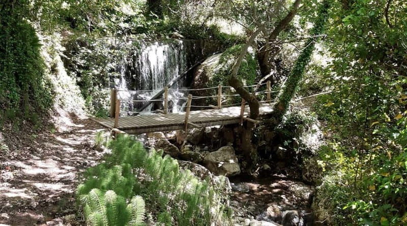 Lefkada: Path of Springs Hike with Olive Oil Tasting - What You Can Expect