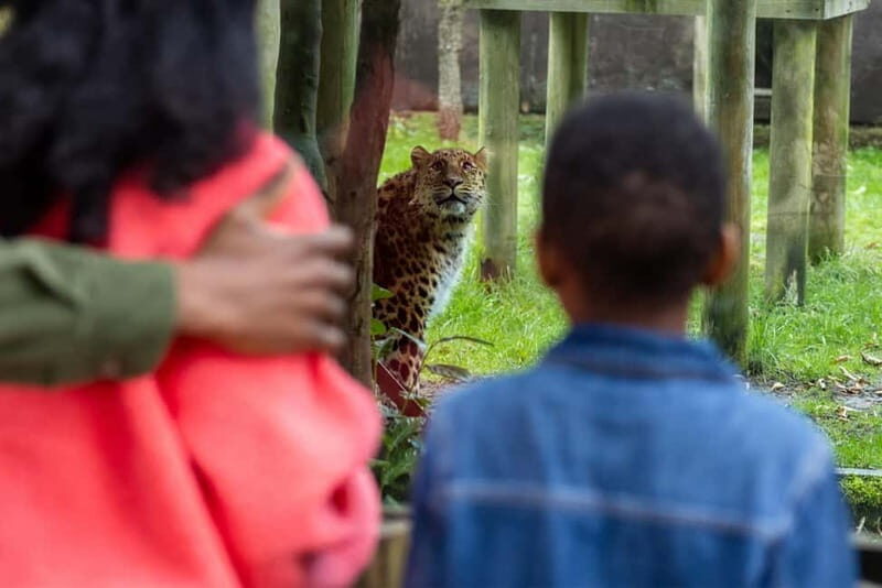 Leicestershire: Twycross Zoo Entry Ticket - The Sum Up: Is Twycross Zoo Worth Visiting?