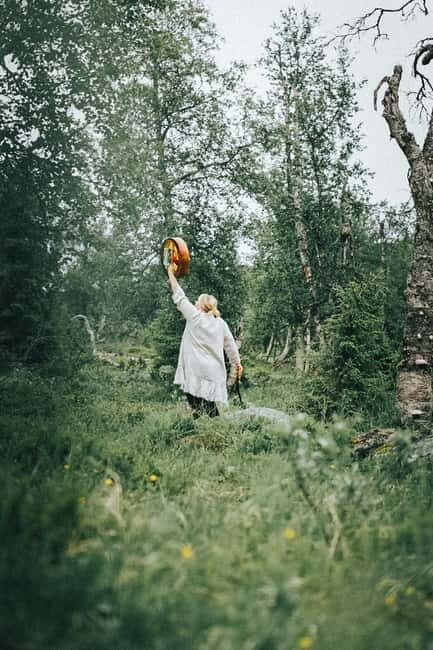 Levi: Guided Hike on the Shaman Päiviö Trail - Who Will Love This Tour?