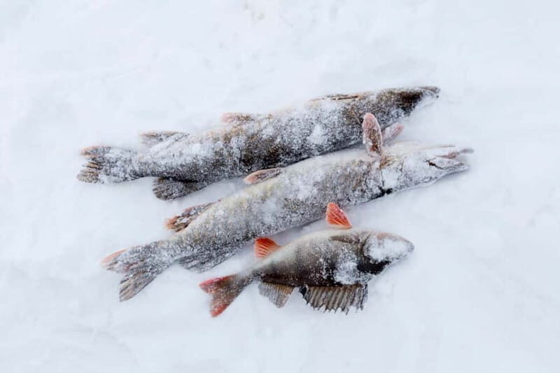 Levi: Ice Fishing by Snowmobile - The Practical Side: What’s Included and What to Know