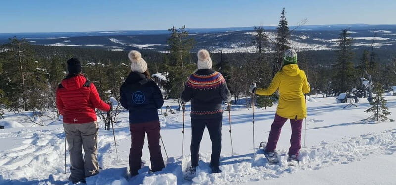Levi Lapland: Northern Lights Snowshoeing - Who Will Enjoy This Tour?