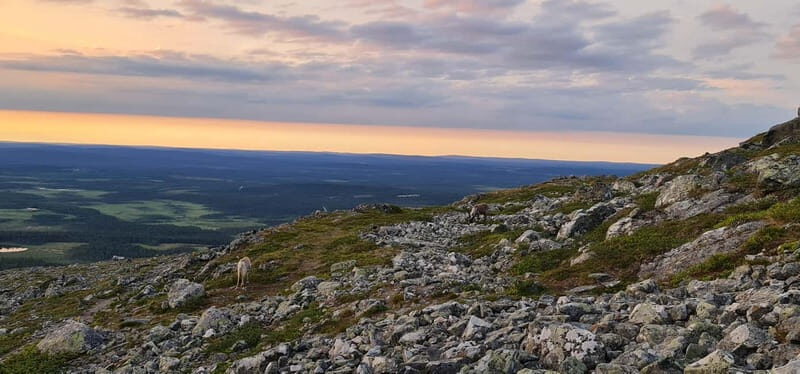 Levi: Pallas Panoramic Hike - The Practicalities