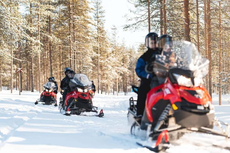 Levi: Snowmobile Safari to the Levi Nature - The Practicalities: Costs, Group Size, and What’s Included