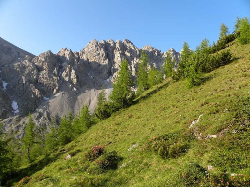 Lienz: Private Guided City Tour - Exploring Roman and Medieval Roots