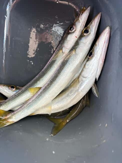 Limassol: Swimming trip with trolling or bottom fishing - Authentic Experiences and Honest Feedback