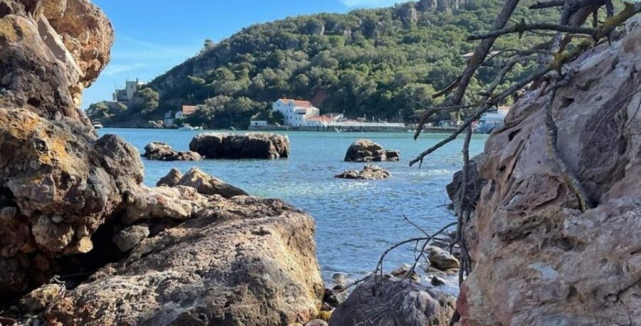 Lisboa: Setúbal, Arrábida & Azeitão Tour, with Wine Tasting! - Transportation and Group Size  