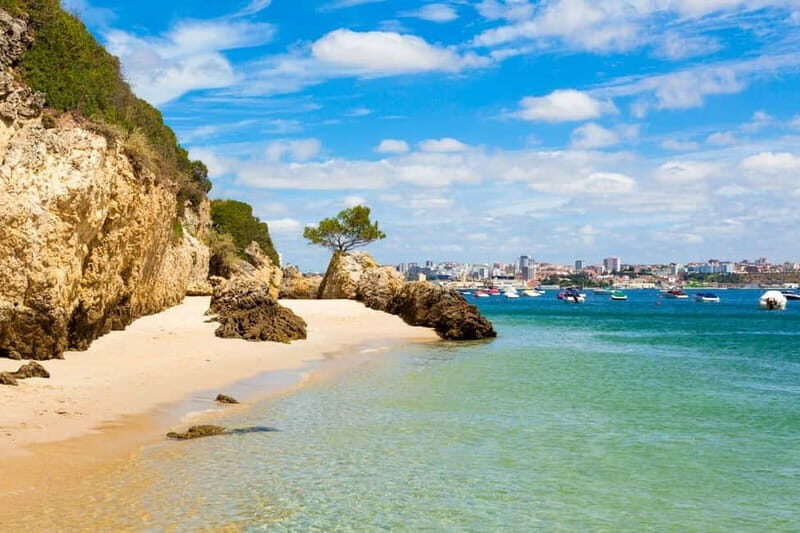 Lisbon: Arrábida Natural Park, Setúbal, and Azeitão Day Trip - Discovering Setúbal’s Maritime Charm