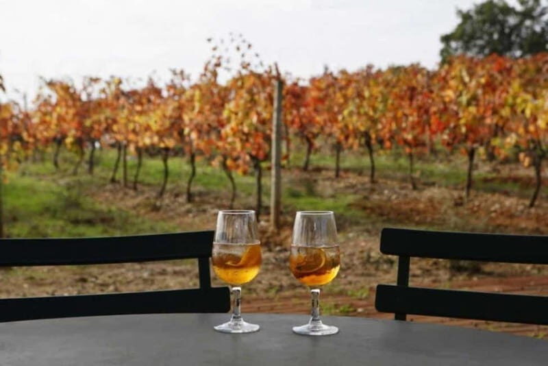 Lisbon: Setúbal, Arrábida and Azeitão Private Wine Tour - Why Choose This Tour? Key Highlights
