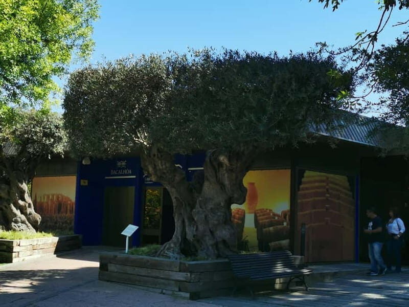 Lisbon to Wine Tasting Setubal, Two Cellars, Half Day Tour - Why This Tour Is Worth Considering