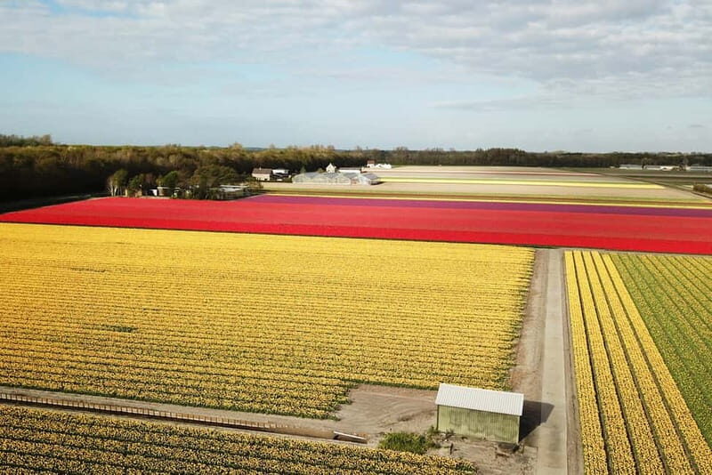 Lisse: Self-Guided Tulip Fields GPS Audio Tour - The Itinerary: What to Expect from Start to Finish