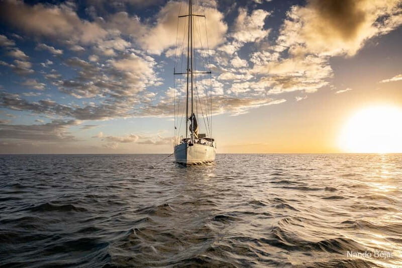 Lloret De Mar: Exclusive private sailing cruise - A Close Look at the Experience