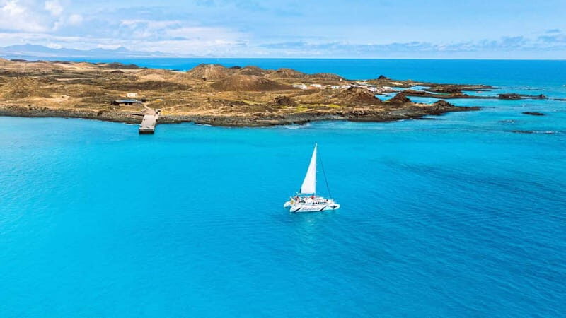 Lobos Island: 4-Hour Catamaran Trip with Lunch - Discovering Lobos Island on a Catamaran